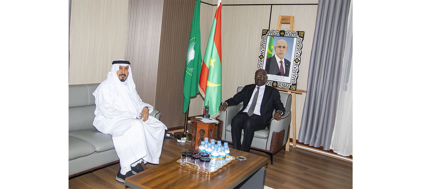 وزير الشؤون الخارجية يستقبل سفير دولة الإمارات العربية المتحدة
