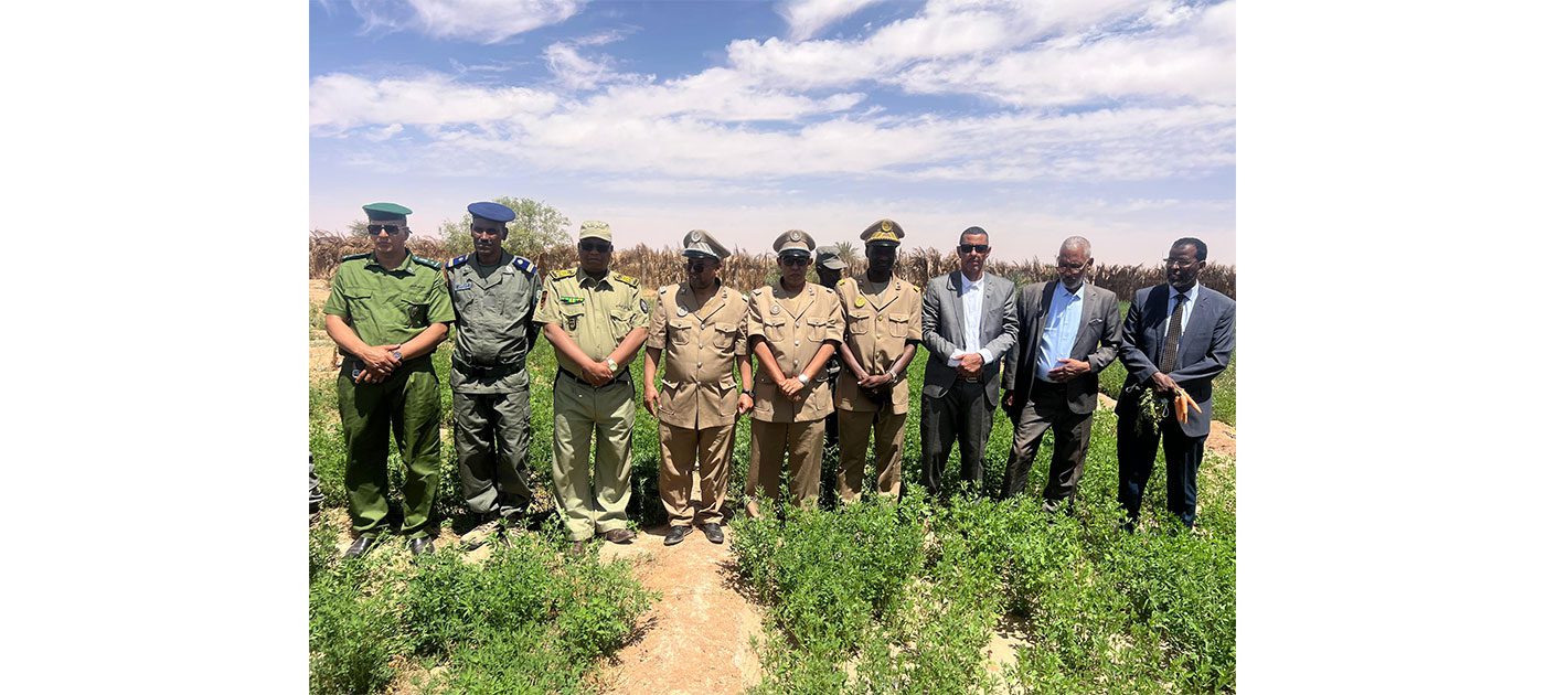 والي تيرس زمور يؤدي زيارة تفقد واطلاع لبعض المشاريع الزراعية بضواحي ازويرات وافديرك