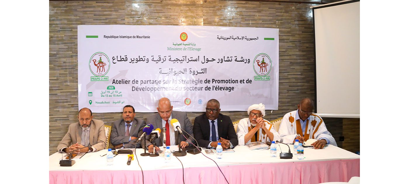 ورشة تشاورية حول استراتيجية ترقية وتطوير قطاع الثروة الحيوانية