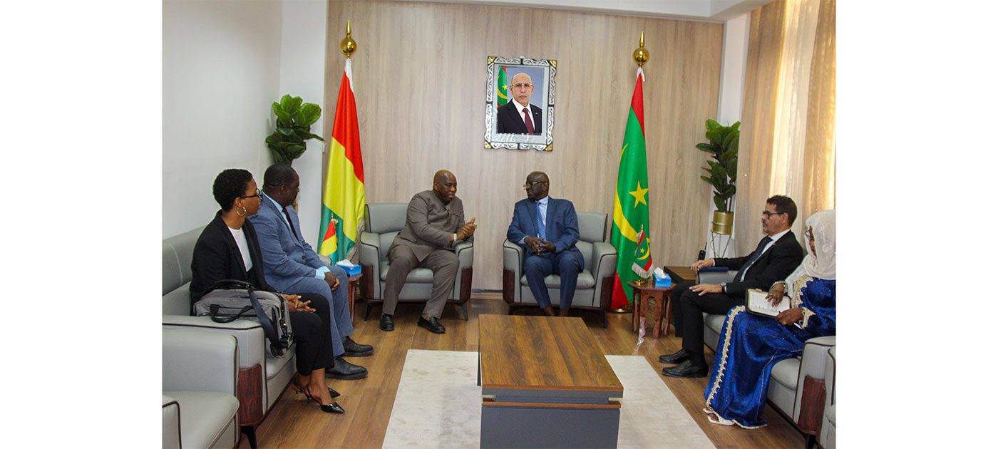 وزير الشؤون الخارجية يلتقي نظيره الغيني