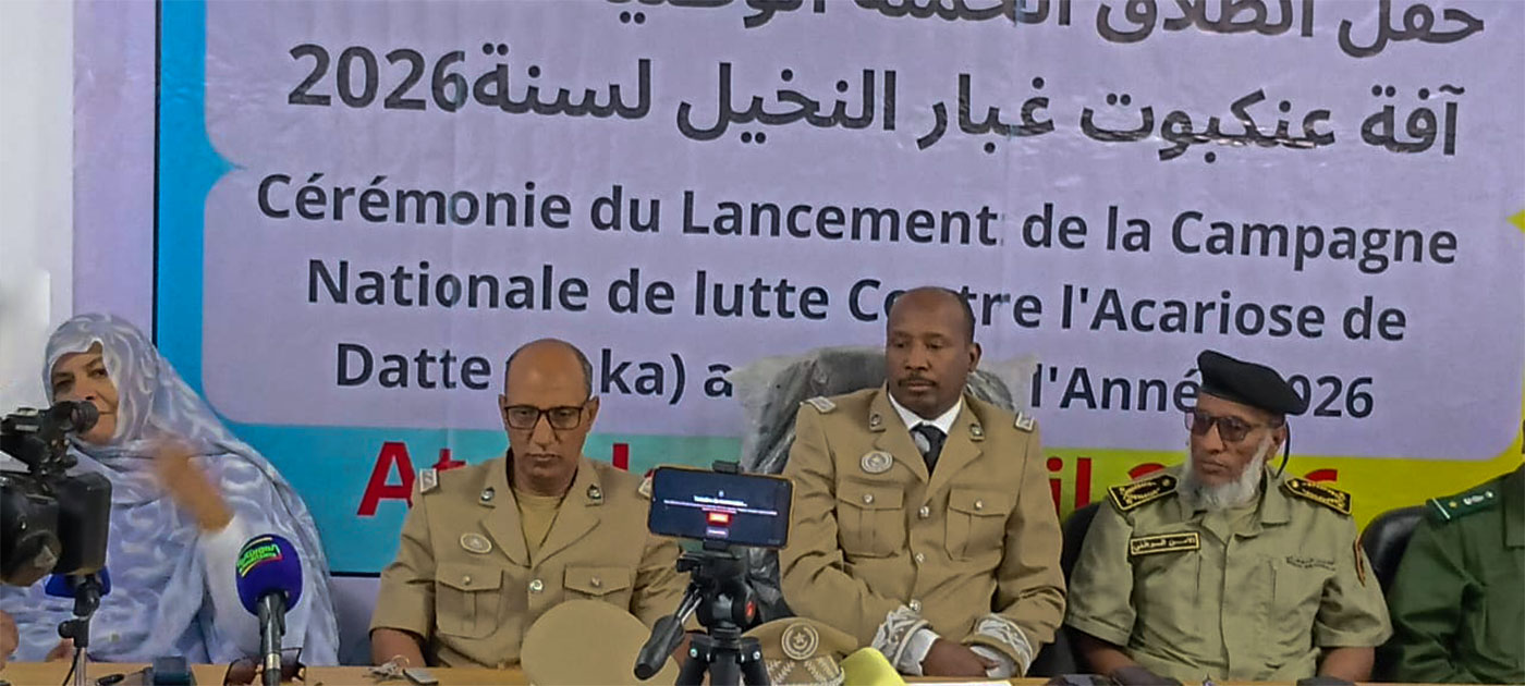 آدرار: انطلاق الحملة الوطنية لمكافحة آفة “عنكبوت الغبار” في النخيل