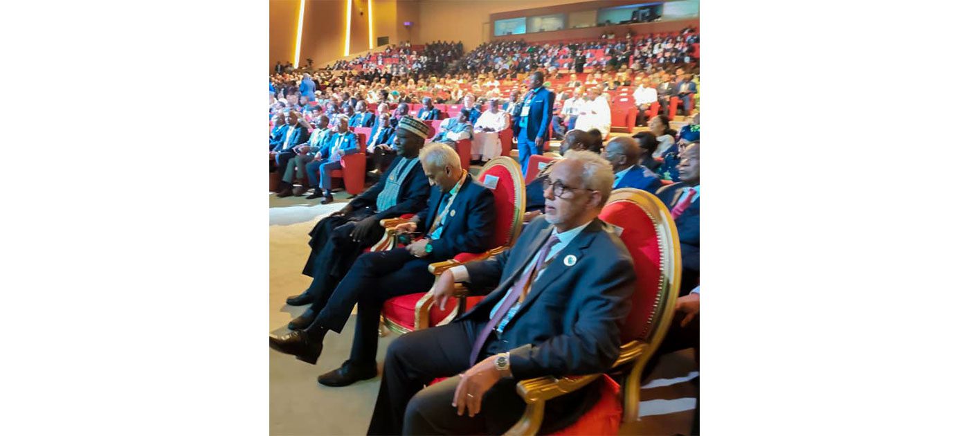 ممثلا لرئيس الجمهورية.. وزير الشؤون الاقتصادية يشارك في احتفالية اليوم الإفريقي لعام 2026